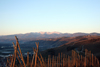 pilat130108thumb.jpg