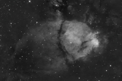 Fish head nebulae