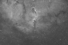 IC1394