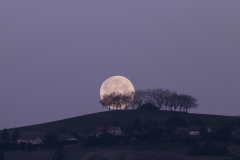 Pink Moon of April 2020