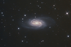 NGC2903 - Lion