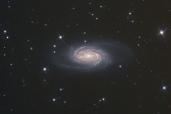 NGC2903 - Lion