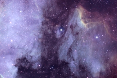 NGC7000 and Pelican