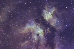 IC1318 "Butterfly"