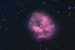 "Cocoon Nebulae"